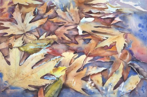 Autumn puddle