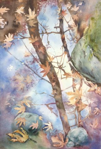 Reflections of Autumn