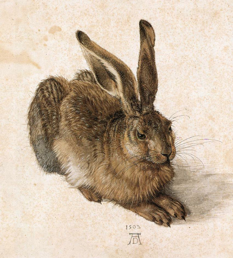 It's Hare